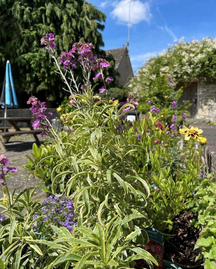 Hotel The Bell At Old Sodbury Chipping Sodbury Exterior foto